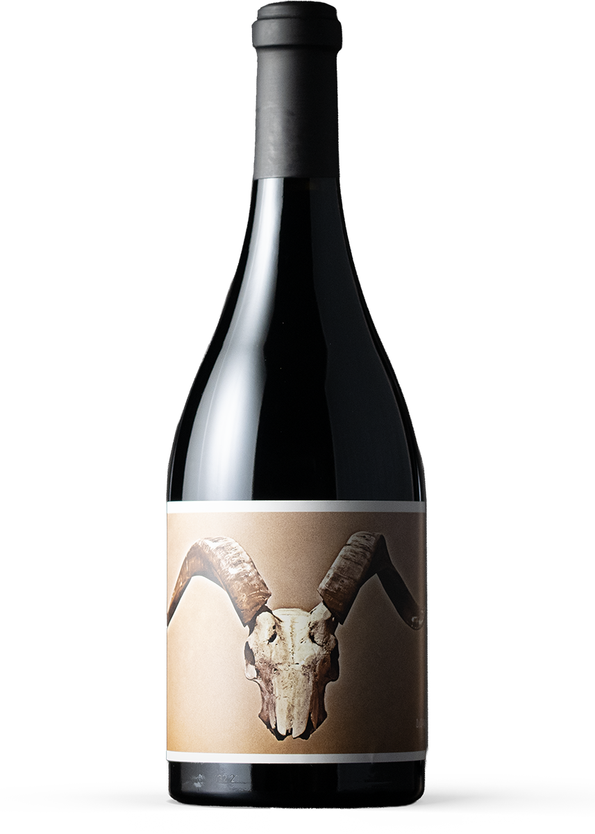 Product Image for Disciples Red Wine 2022
