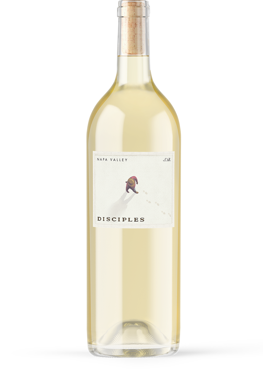 Product Image for Disciples Sauvignon Blanc 2025